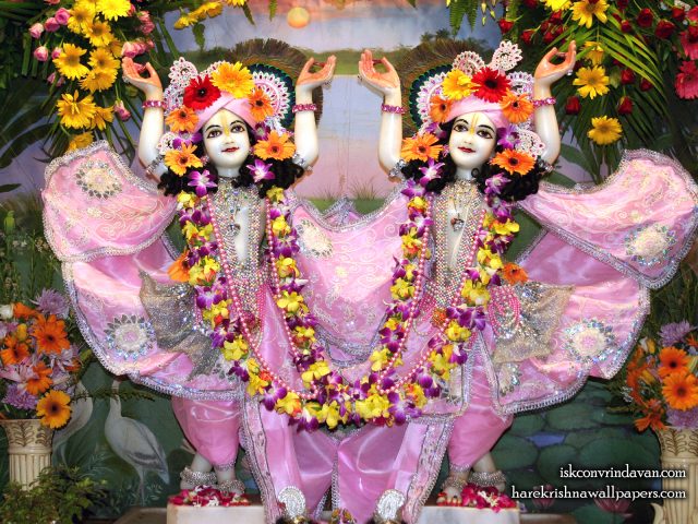 Sri Sri Gaura Nitai Wallpaper (090) Size 1600×1200 Download