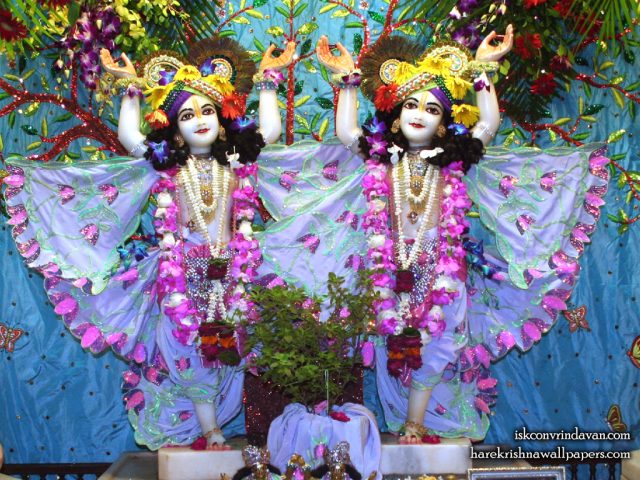 Sri Sri Gaura Nitai Wallpaper (091) Size 1024×768 Download