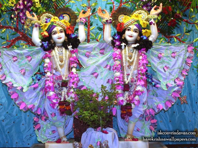 Sri Sri Gaura Nitai Wallpaper (091) Size 1280×1024 Download