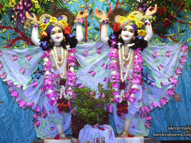 Sri Sri Gaura Nitai Wallpaper (091) Size 1280×800 Download