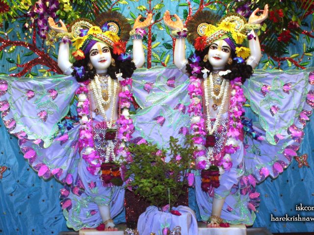 Sri Sri Gaura Nitai Wallpaper (091) Size 2400×1350 Download