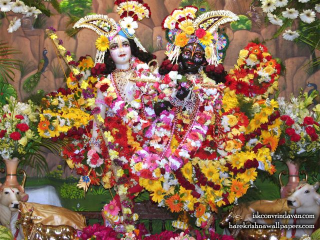 Sri Sri Krishna Balaram Wallpaper (106) Size 1280×1024 Download