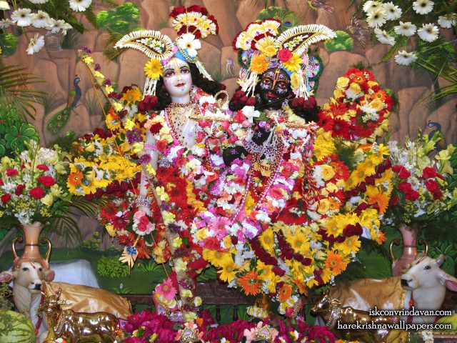 Sri Sri Krishna Balaram Wallpaper (106) Size 1280×960 Download