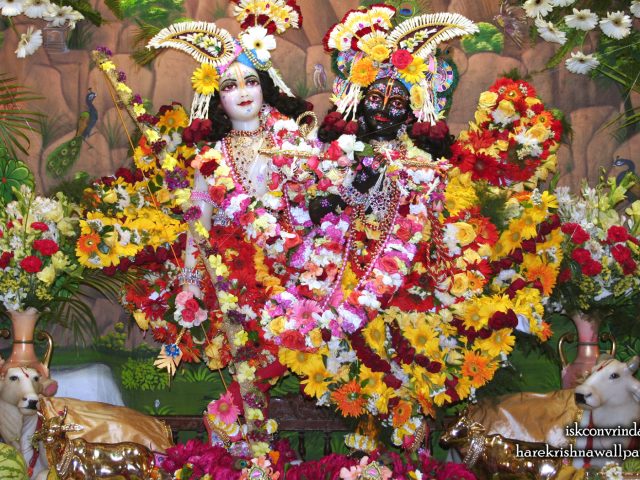 Sri Sri Krishna Balaram Wallpaper (106) Size 1680×1050 Download