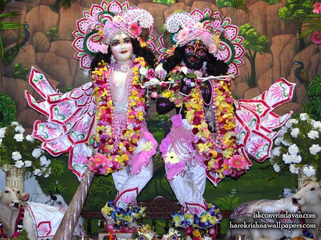 Sri Sri Krishna Balaram Wallpaper (107) Size 1280×1024 Download