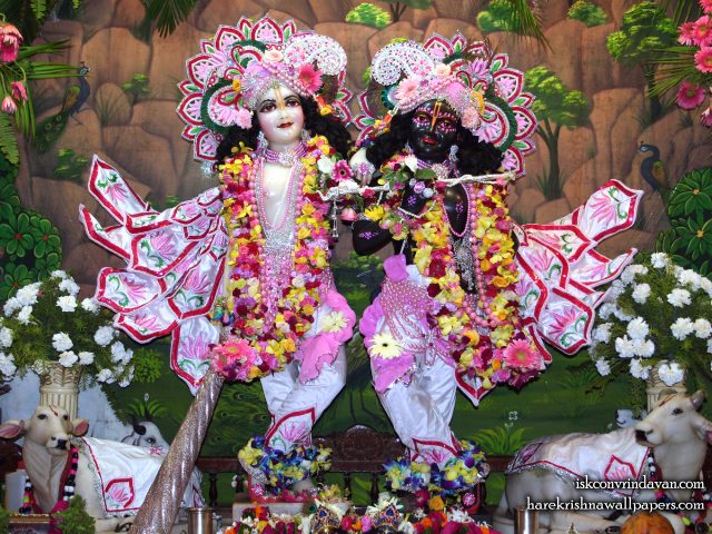 Sri Sri Krishna Balaram Wallpaper (107) Size 1920×1440 Download