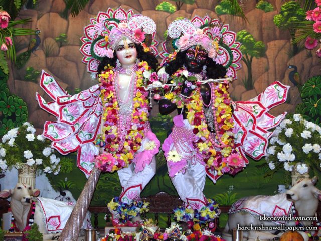 Sri Sri Krishna Balaram Wallpaper (107) Size 800×600 Download