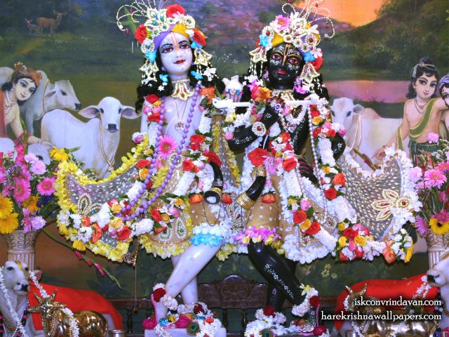 Sri Sri Krishna Balaram Wallpaper (109) Size 1280×1024 Download