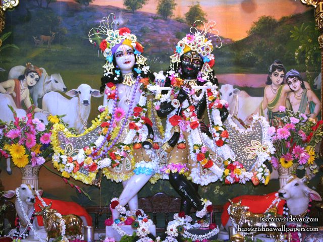 Sri Sri Krishna Balaram Wallpaper (109) Size 1280×960 Download