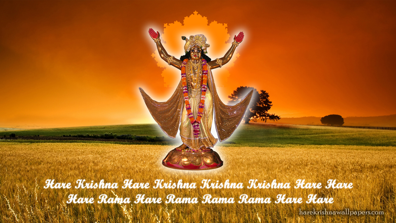 Chaitanya Mahaprabhu Wallpaper (002) Size 1600x900 Download