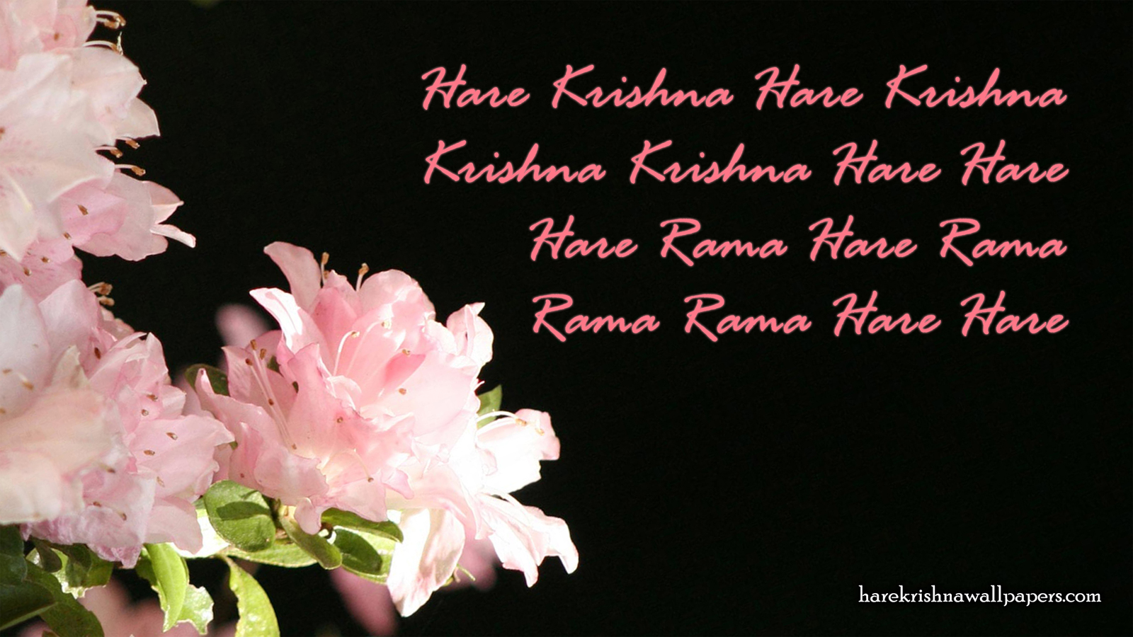 Chant Hare Krishna Mahamantra Wallpaper (012) Size 1600x900 Download