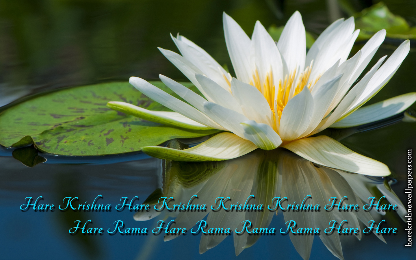 Chant Hare Krishna Mahamantra Wallpaper (014) Size 1440x900 Download