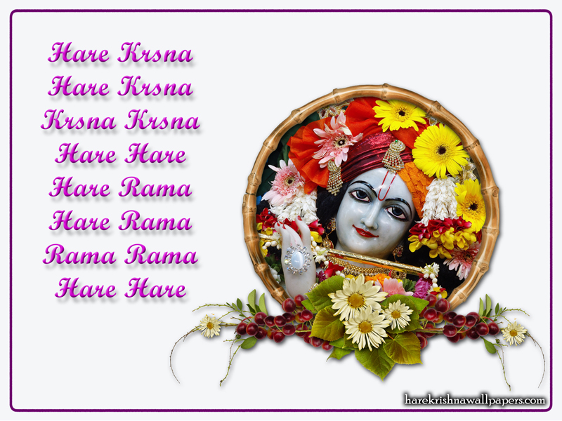 Chant Hare Krishna Mahamantra Wallpaper (015) Size 800x600 Download