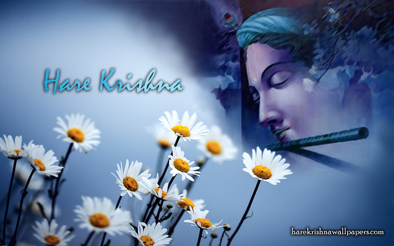 Hare Krishna Wallpaper (002) Size 1280x800 Download