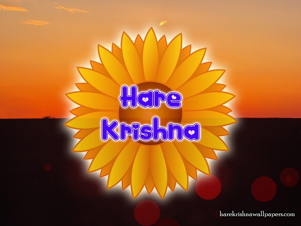 Hare Krishna Wallpaper (009) Size 1152x864 Download
