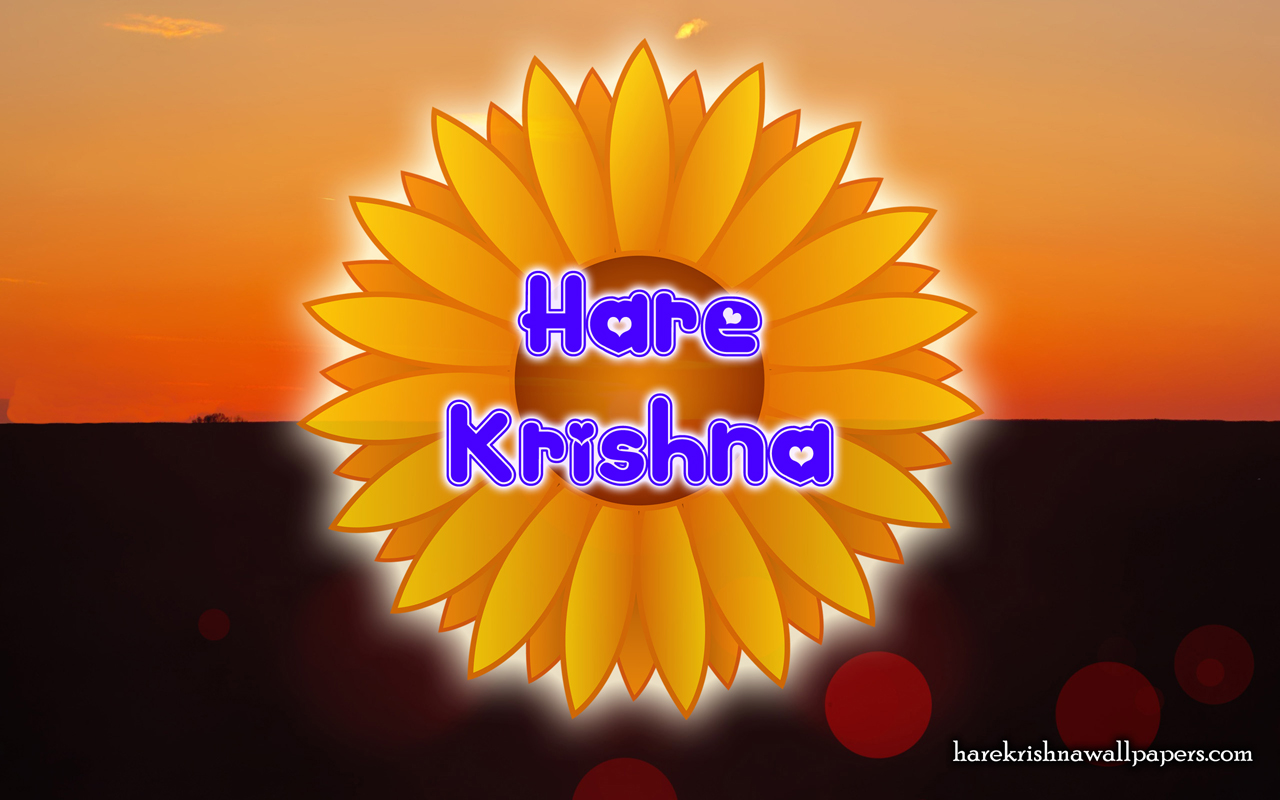 Hare Krishna Wallpaper (009) Size 1280x800 Download