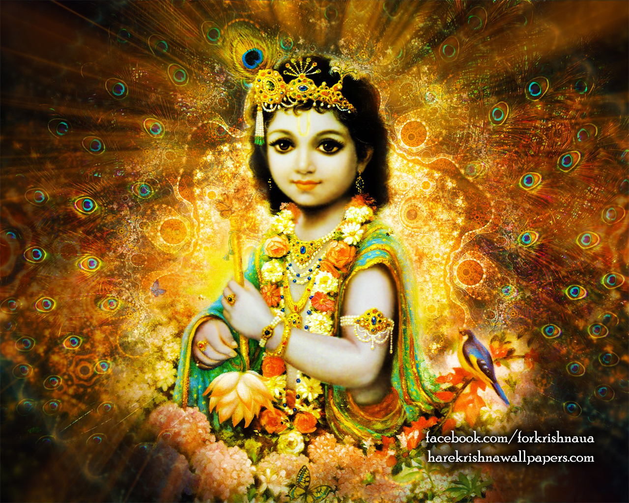 Krishna Wallpaper (004) Size 1280x1024 Download