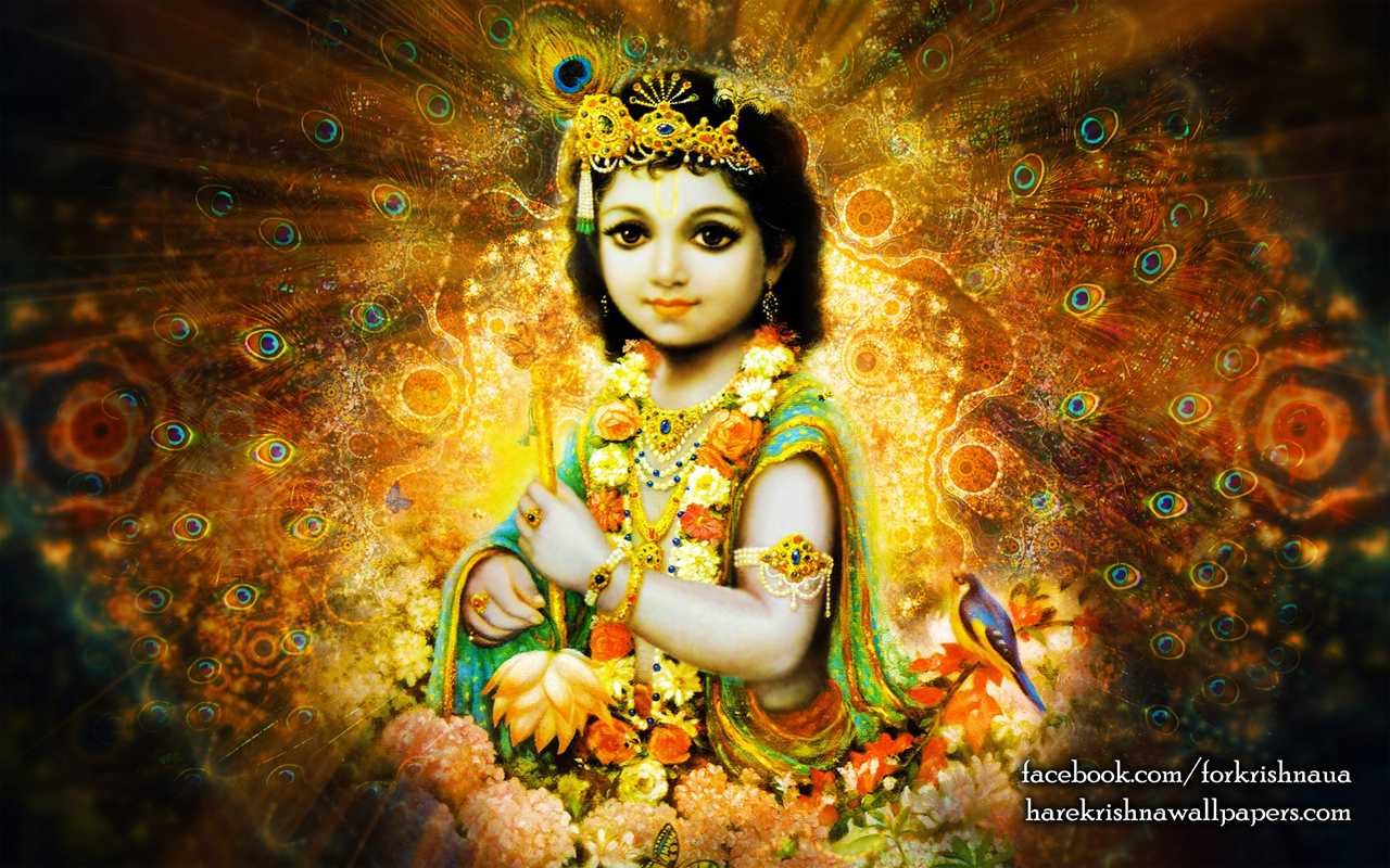 Krishna Wallpaper (004) Size 1280x800 Download