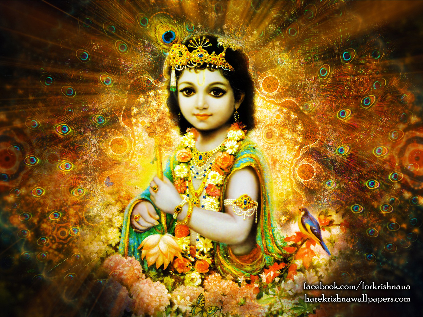 Krishna Wallpaper (004) Size 1400x1050 Download