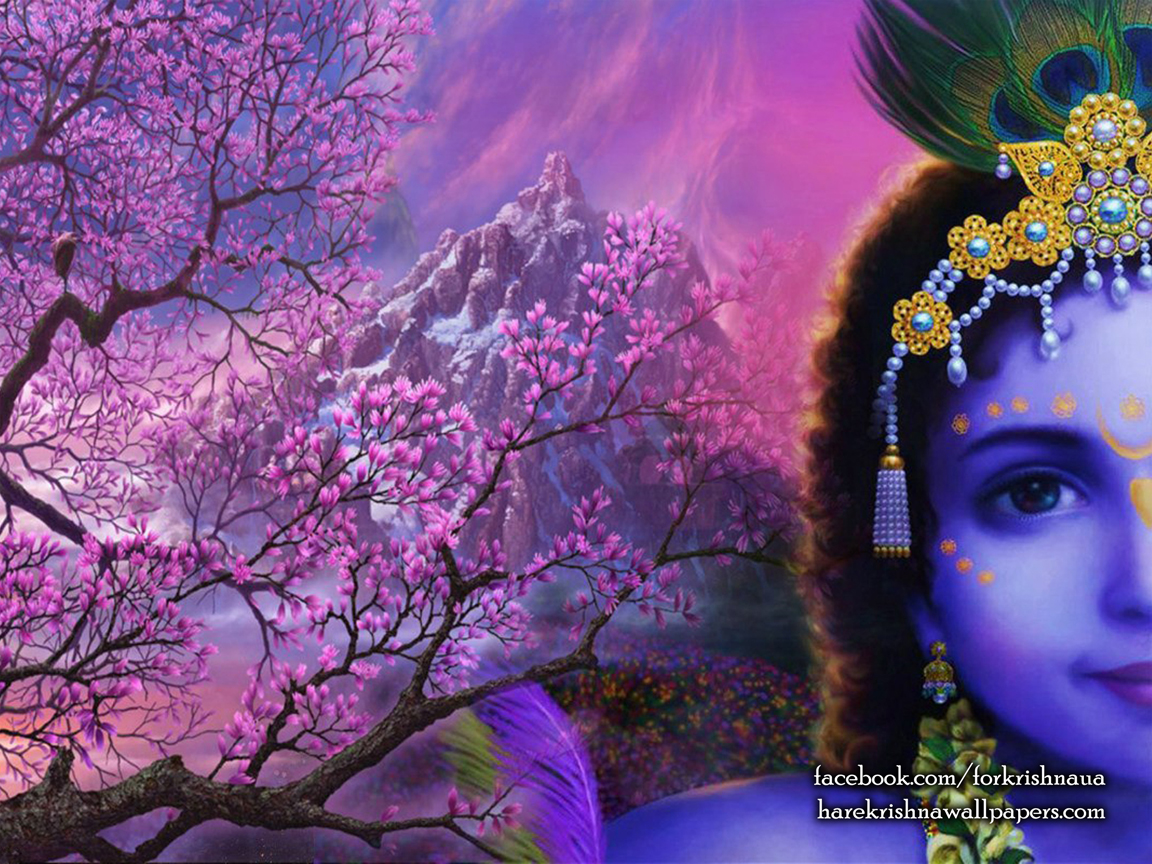 Krishna Wallpaper (005) Size 1152x864 Download