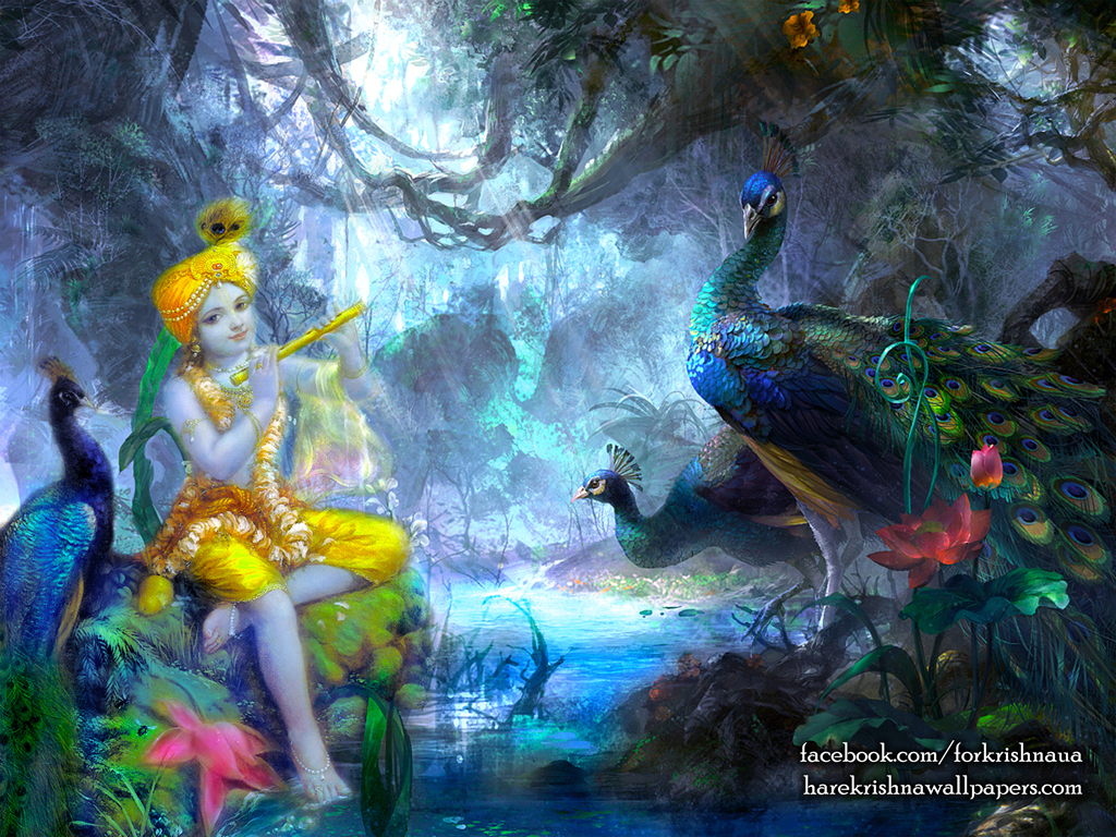Krishna Wallpaper (009) Size 1024x768 Download