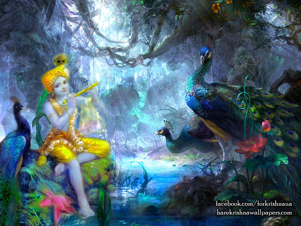 Krishna Wallpaper (009) Size1200x900 Download