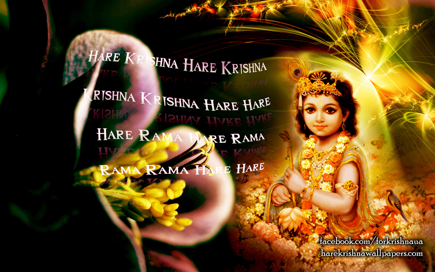 Krishna Wallpaper (011) Size 1440x900 Download