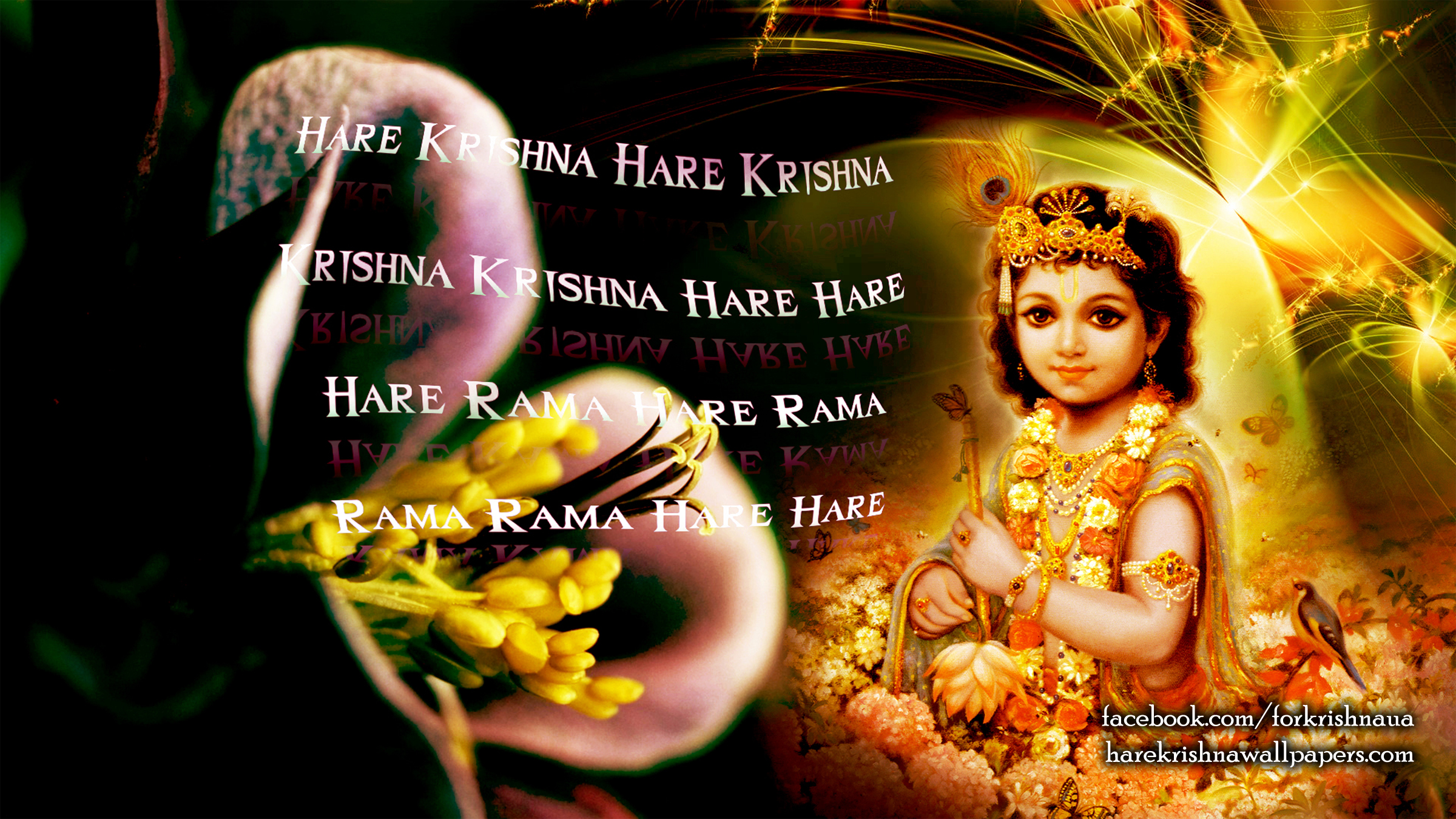 Krishna Wallpaper (011) Size 2400x1350 Download