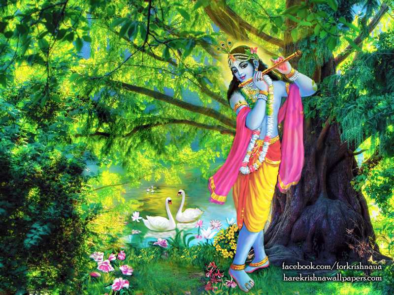 Krishna Wallpaper (012)