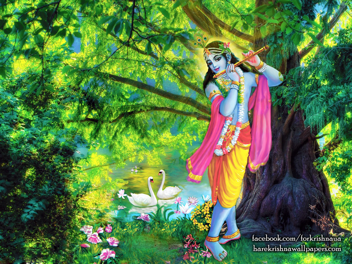 Krishna Wallpaper (012) Size1200x900 Download