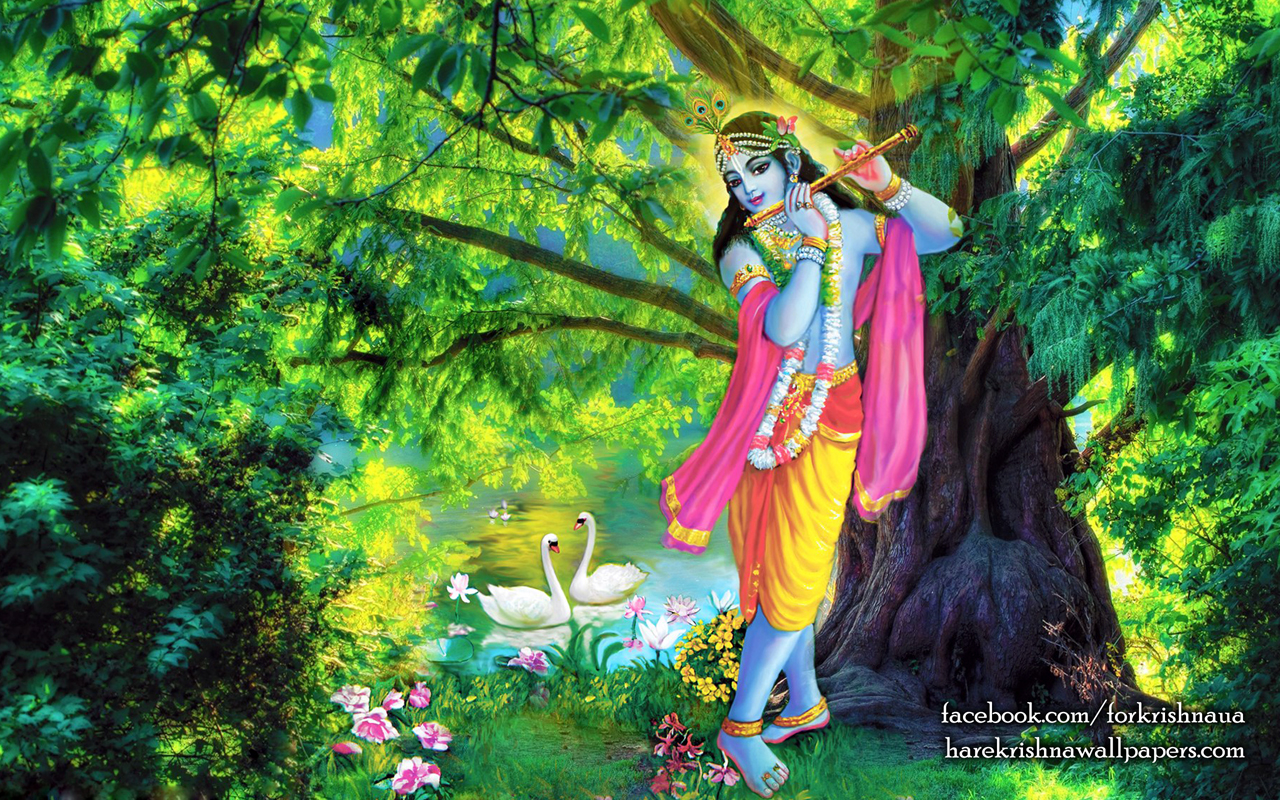 Krishna Wallpaper (012) Size 1280x800 Download