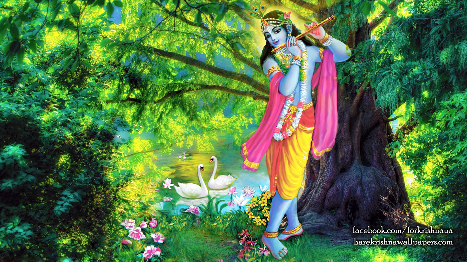 Krishna Wallpaper (012) Size 1600x900 Download