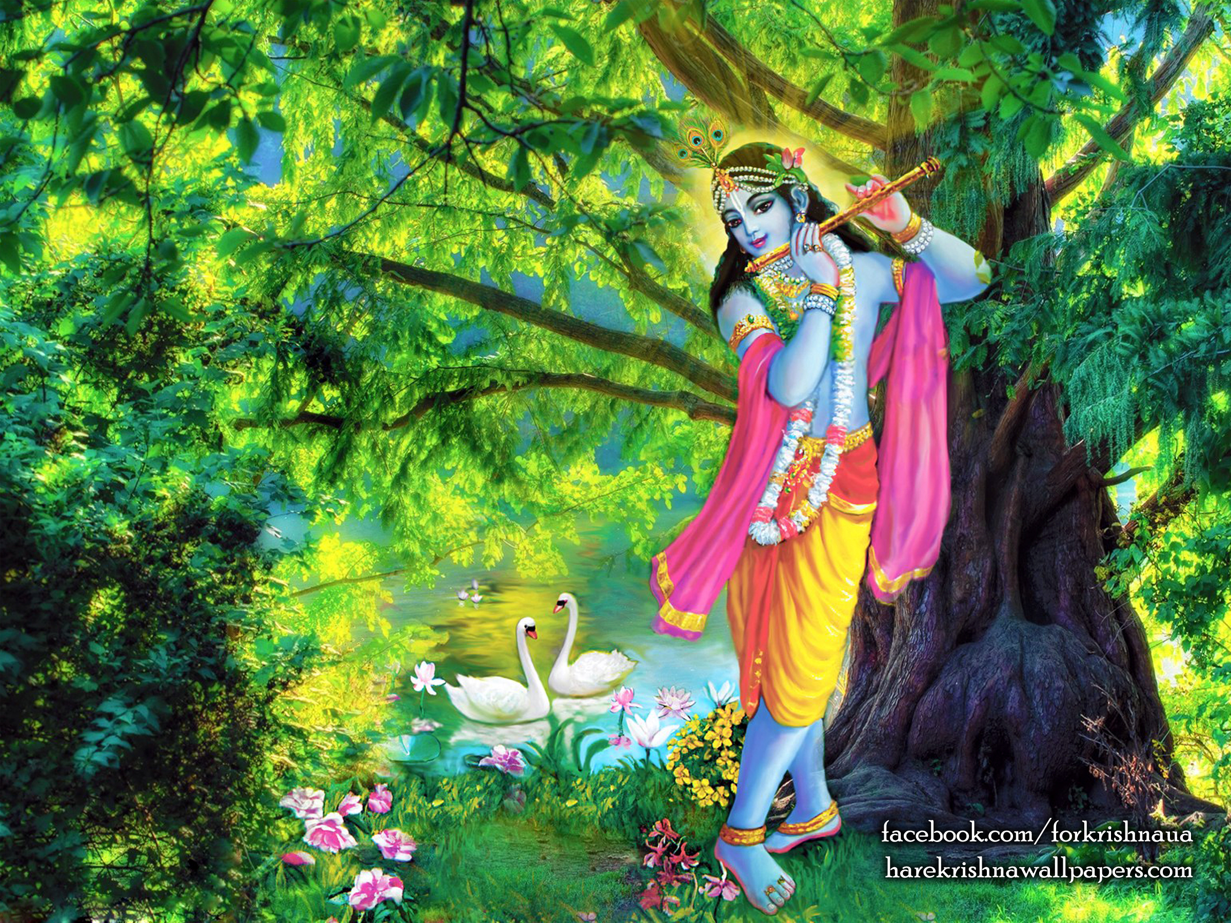 Krishna Wallpaper (012) Size 2400x1800 Download