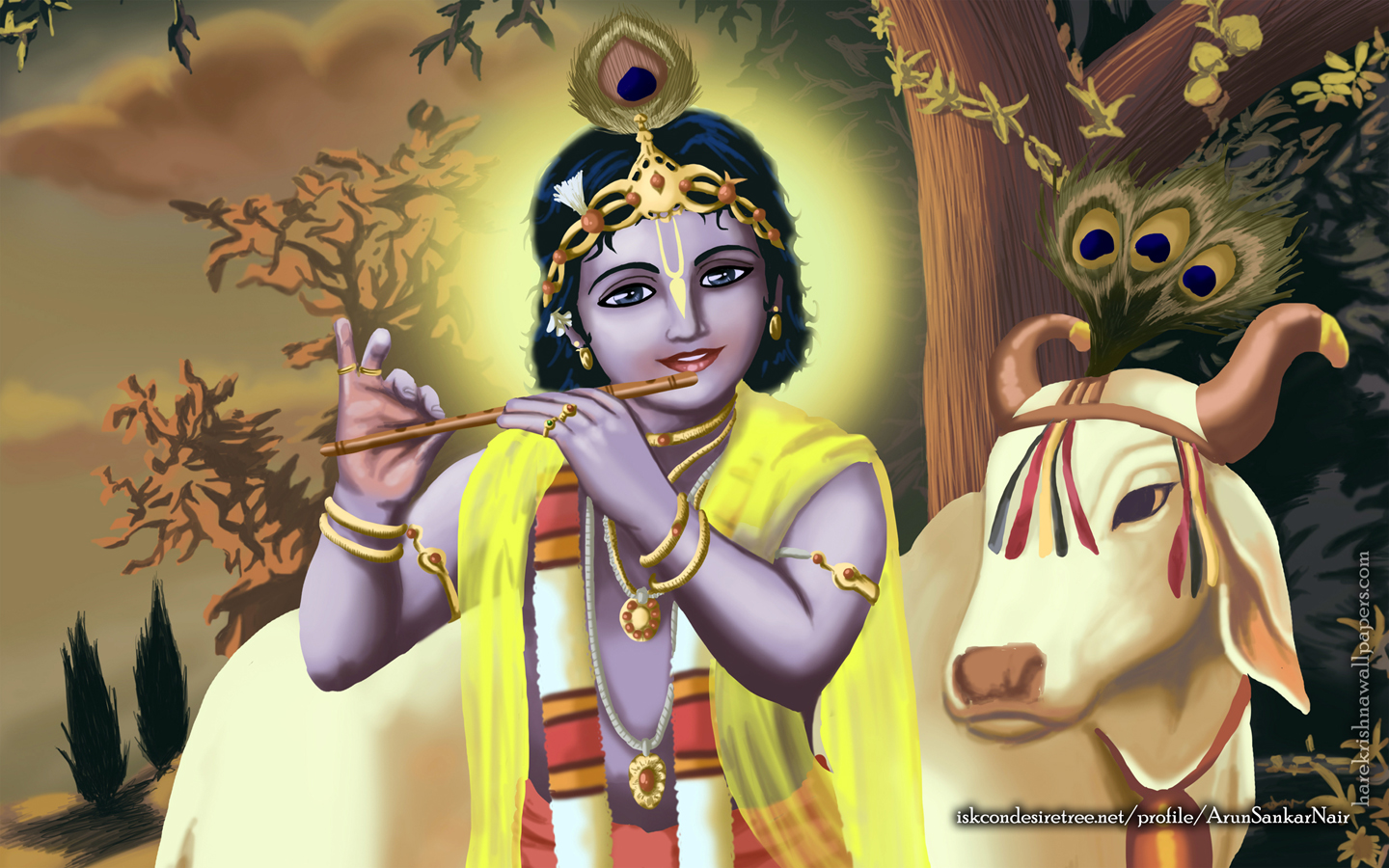 Krishna Wallpaper (019) Size 1440x900 Download