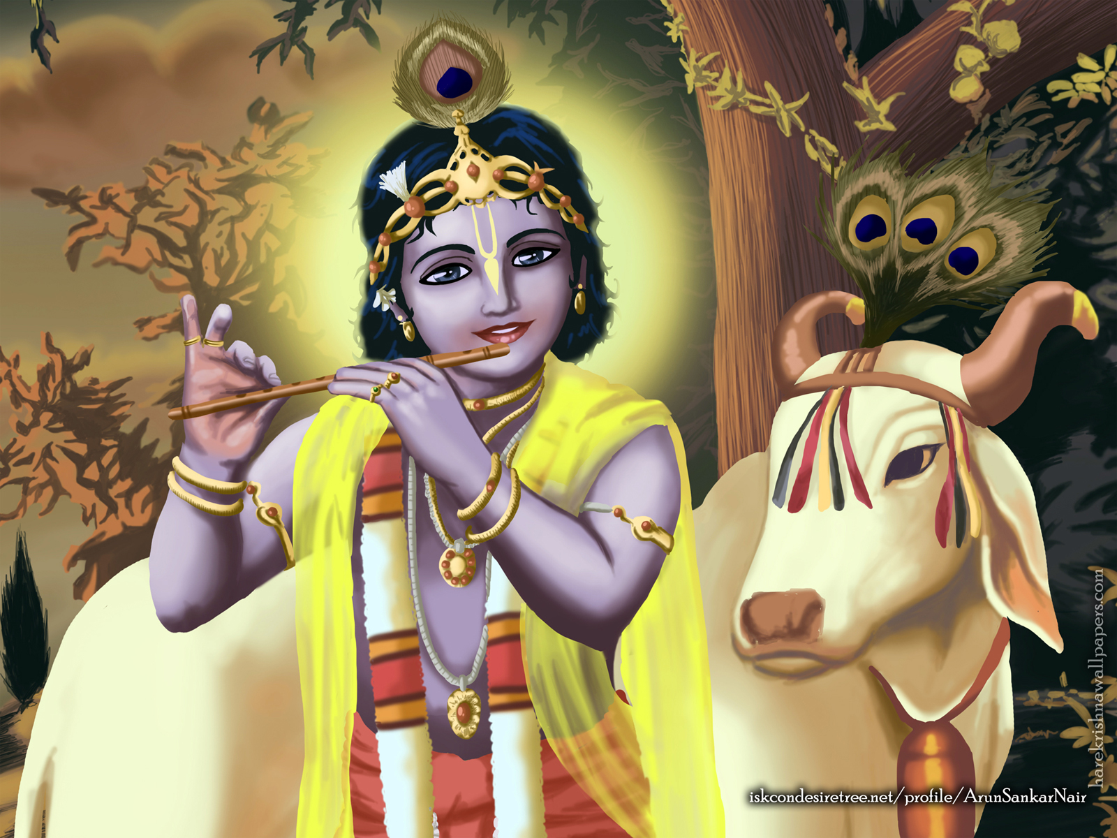 Krishna Wallpaper (019) Size1600x1200 Download