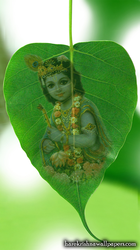 Krishna Wallpaper (038) Size 450x800 Download