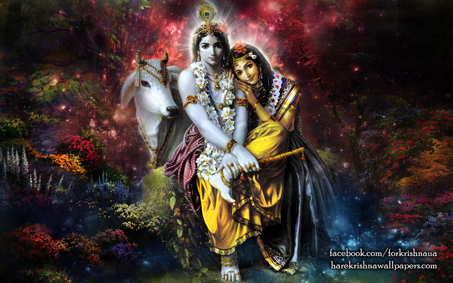 Radha Krishna Wallpaper (003) Size 1440x900 Download
