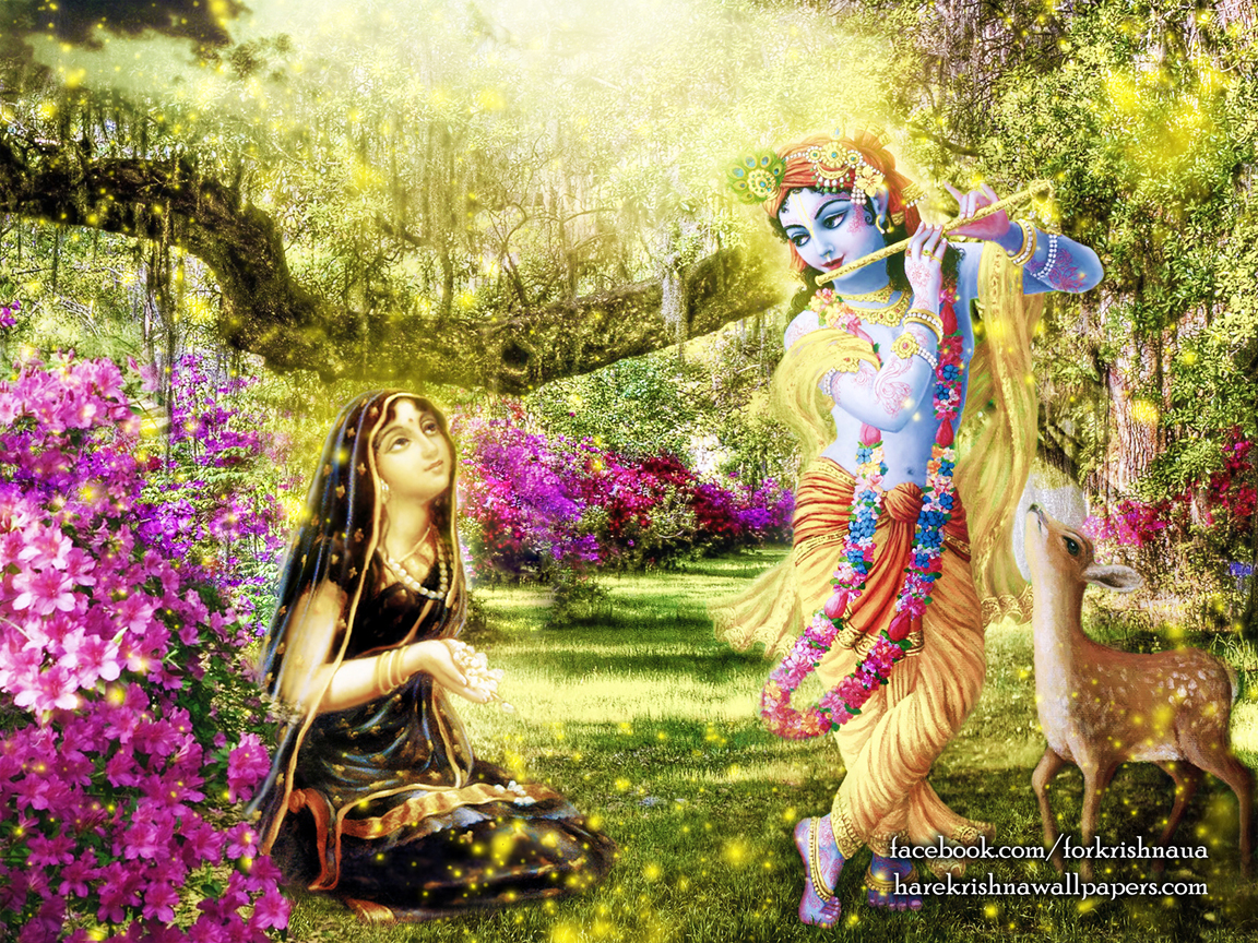 Radha Krishna Wallpaper (011) Size 1152x864 Download