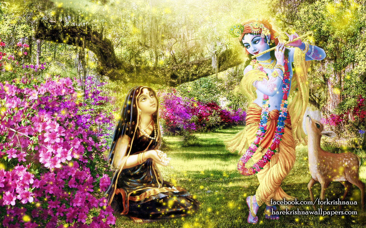 Radha Krishna Wallpaper (011) Size 1280x800 Download
