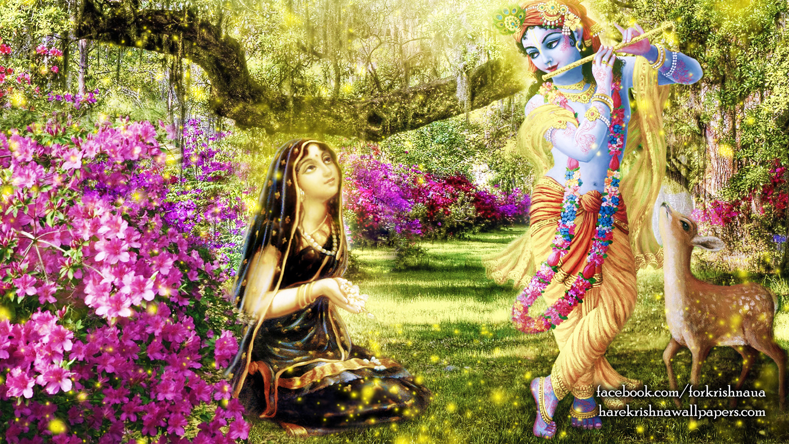 Radha Krishna Wallpaper (011) Size 1600x900 Download