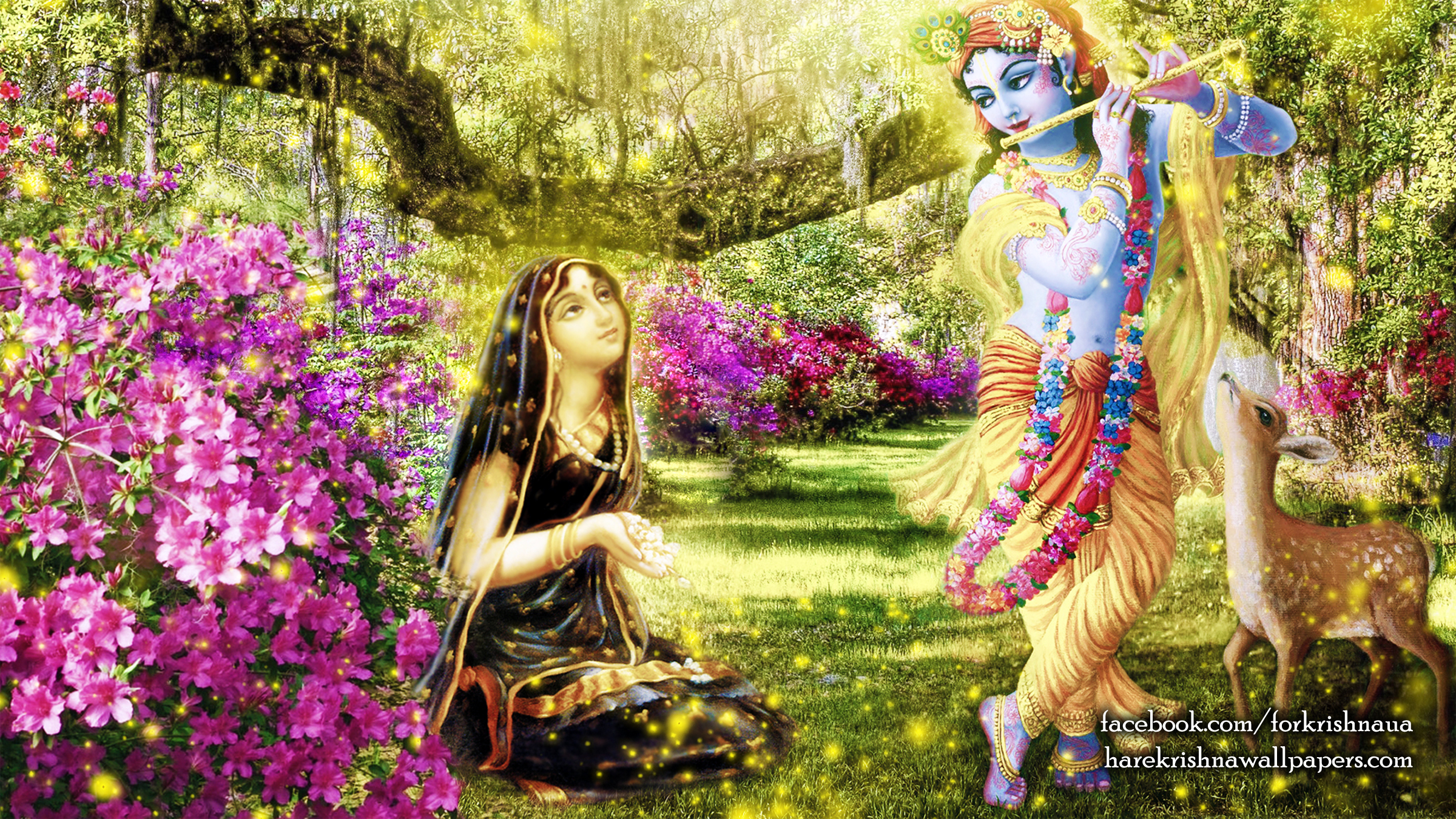 Radha Krishna Wallpaper (011) Size 2400x1350 Download