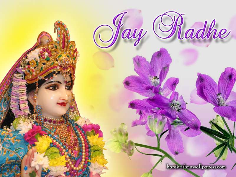 Srimati Radharani Wallpaper, Sri Radharani HD wallpaper