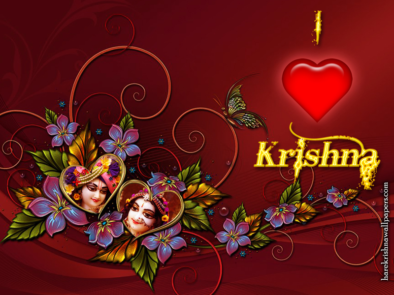 Valentine Day Wallpaper (005) Size 800x600 Download