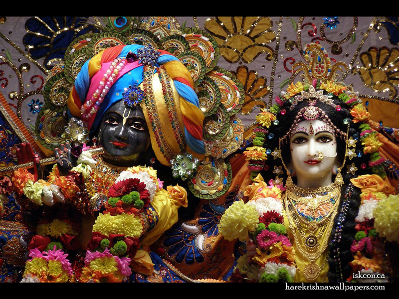 Sri Sri Radha Khirachora Gopinath Close up Wallpaper (001) Size 800x600 Download