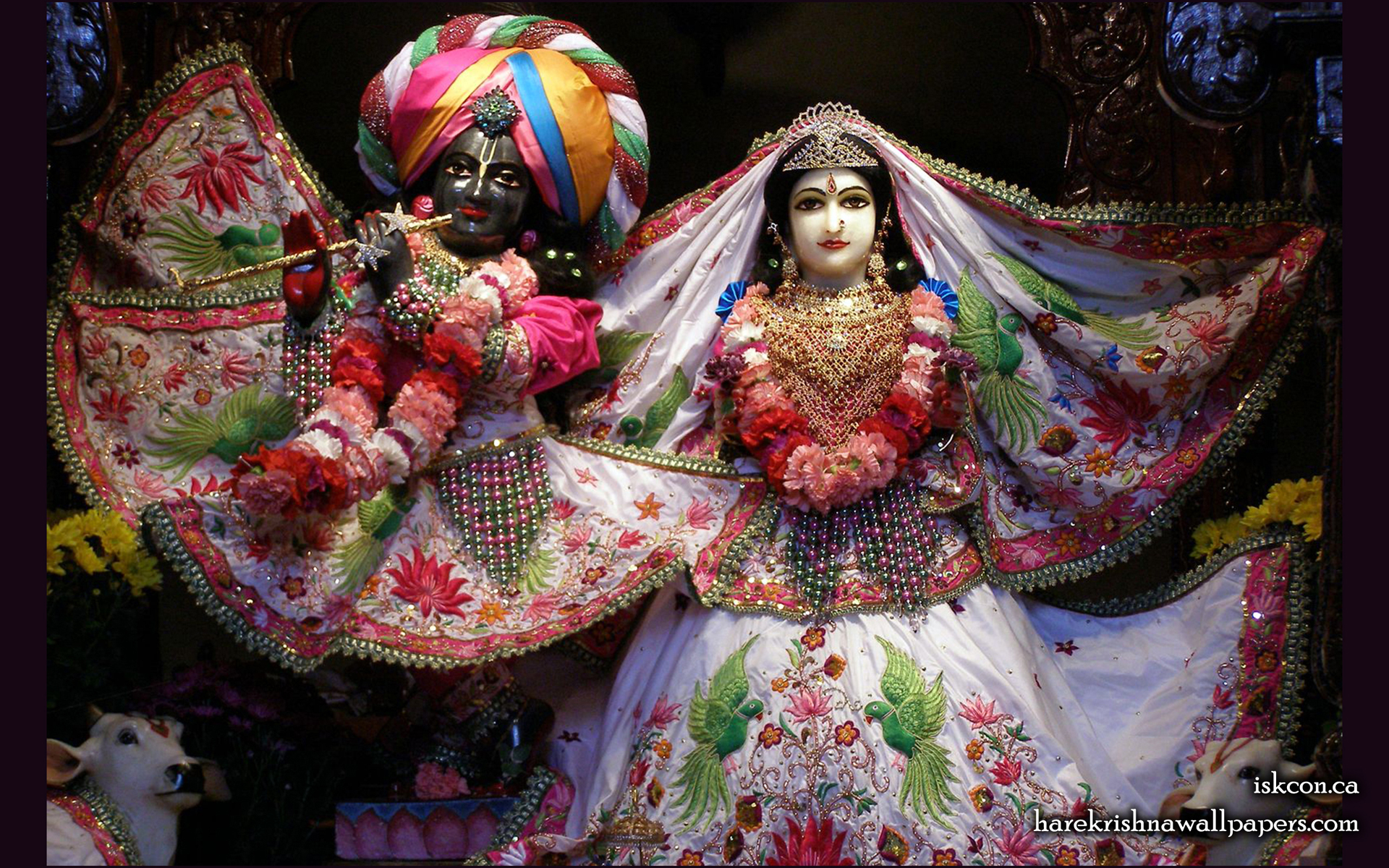 Sri Sri Radha Khirachora Gopinath Wallpaper (007) Size 1920x1200 Download