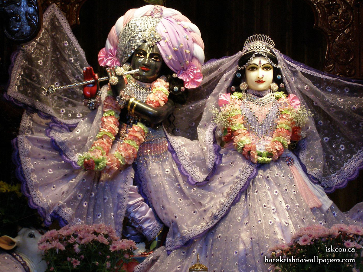 Sri Sri Radha Khirachora Gopinath Wallpaper (009) Size1200x900 Download