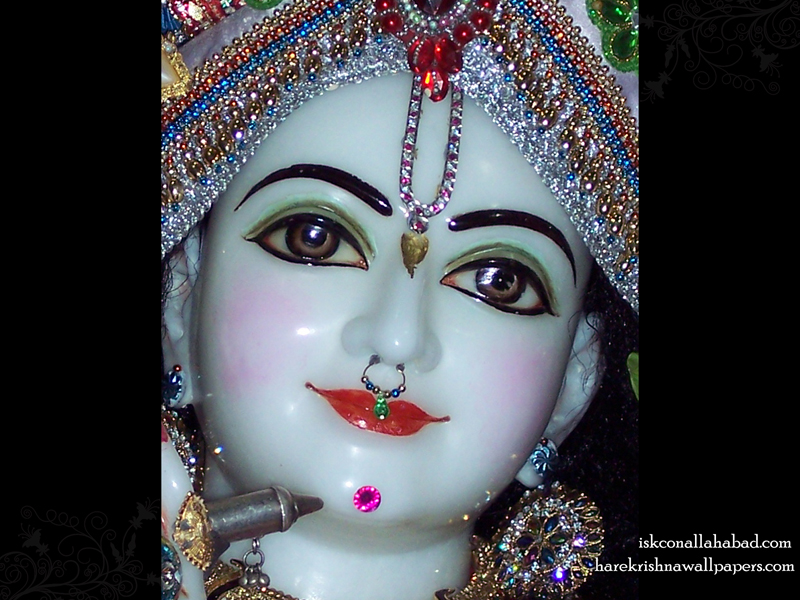 Sri Venimadhava Close up Wallpaper (001) Size 800x600 Download