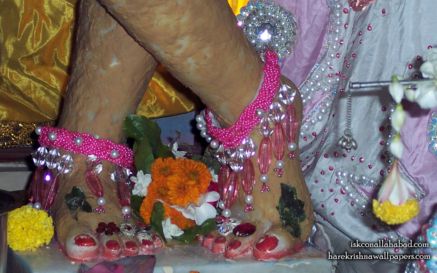 Sri Venimadhava Feet Wallpaper (001) Size 1440x900 Download