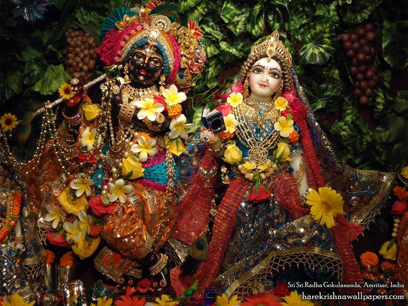 Sri Radha Close up Wallpaper (001)