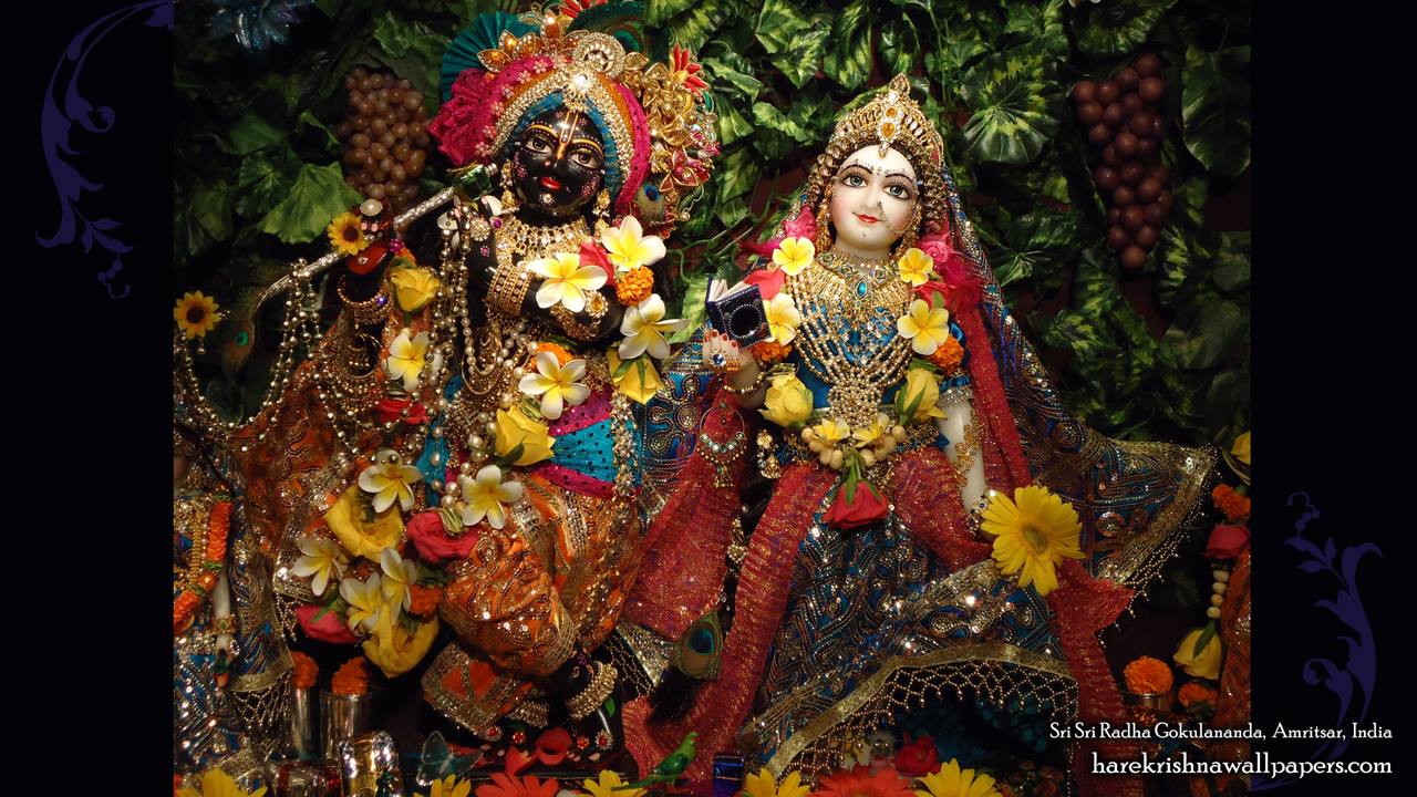 Sri Sri Radha Gokulananda Wallpaper (001) Size1280x720 Download